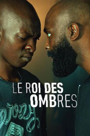 Le Roi des Ombres