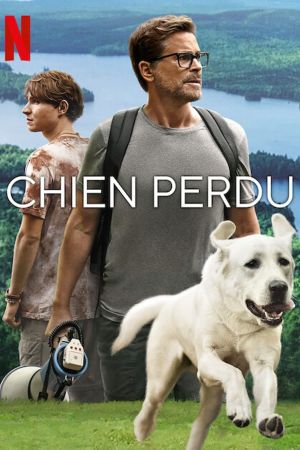 Chien perdu