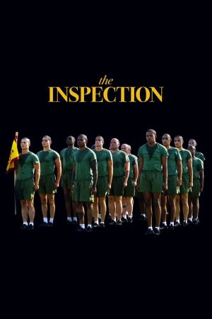 The Inspection