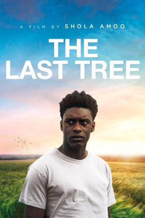 The Last Tree