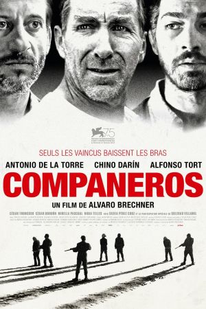 Compañeros