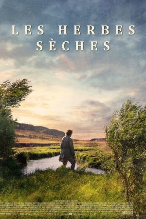 Les Herbes sèches