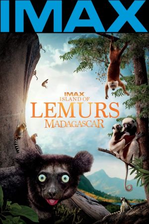 IMAX L'ile des lémuriens : Madagascar