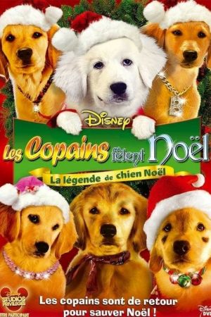 Les copains fêtent Noël