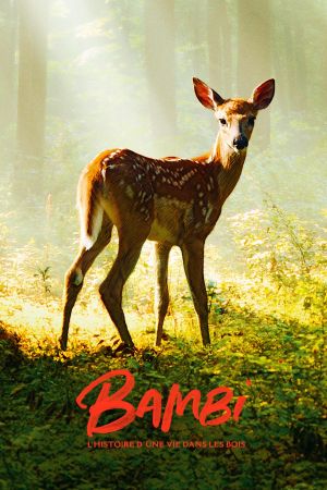 Bambi, l'histoire d'une vie dans les bois