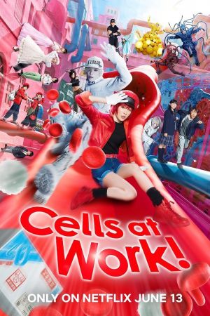 Cells at work !